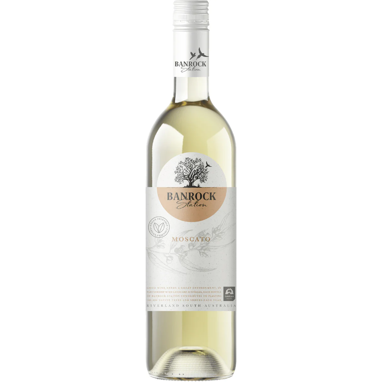 BANROCK STN MOSCATO S/C 1L